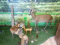 Szczecinecki eksperyment - zakup wyposażenia do Ośrodka Popularyzującego Naukę w Szczecinku Szczecinecki eksperyment - zakup wyposażenia do Ośrodka Popularyzującego Naukę w Szczecinku