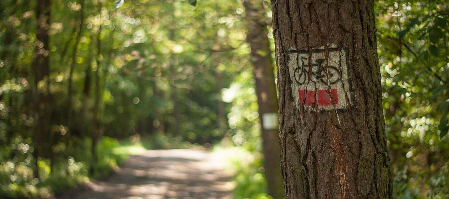 Szlak rowerowy do Trzebieży i nie tylko… Marszałkowskie wsparcie dla Gminy Police Szlak rowerowy do Trzebieży i nie tylko… Marszałkowskie wsparcie dla Gminy Police