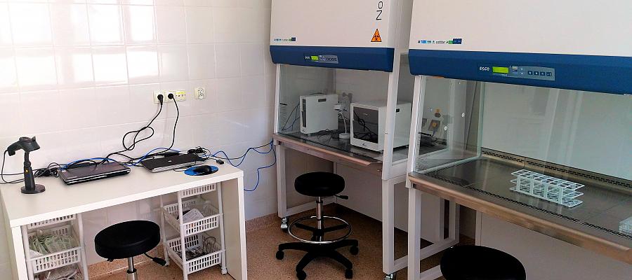 Szybsze wykrywanie koronawirusa w Koszalinie. SZGiCHP otworzył pracownię do badań COViD-19. Szybsze wykrywanie koronawirusa w Koszalinie. SZGiCHP otworzył pracownię do badań COViD-19.